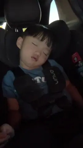 this song is stuck in my head #bro #67 #miaumiau🐈 