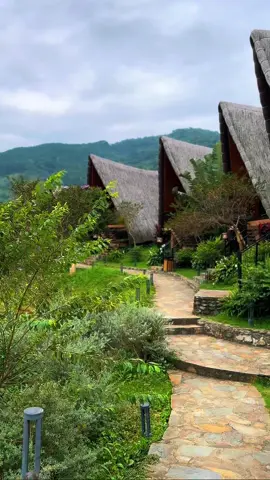 #sốngvuimỗingày # Vùng cao ở đâu em nhỉ Thấy mọi người vẫn thường bảo nhau Là tới vùng cao qua đèo qua suối Tới vùng cao qua núi qua rừng…