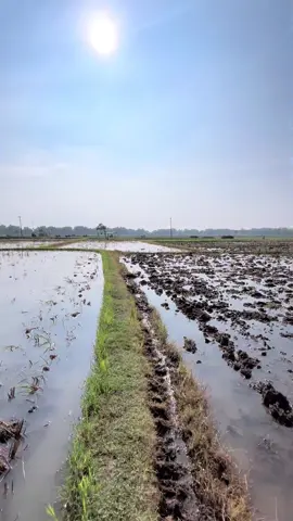 Wayae anak e wong tani tampill🙌🏻😜@#petanimuda #butani#fy 