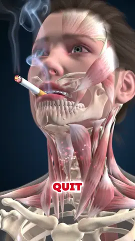 What happens when you quit smoking? #smoking #smoke #quitsmoking #quitsmoke #usa_tiktok 