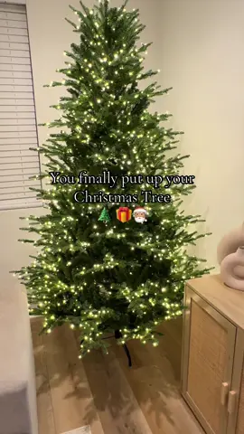 Now I have to put the ornaments 🎄 #fyp #holidays #viral #christmas #trending 