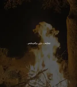 Fandake Tabdar😍#chavoshi #foryoupage #mohsenchavoshi #likes #foryouu 