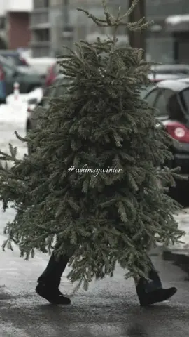 Incoming #christmas #whimsy #winteraesthetic #pinterestinspired #christmastiktok 