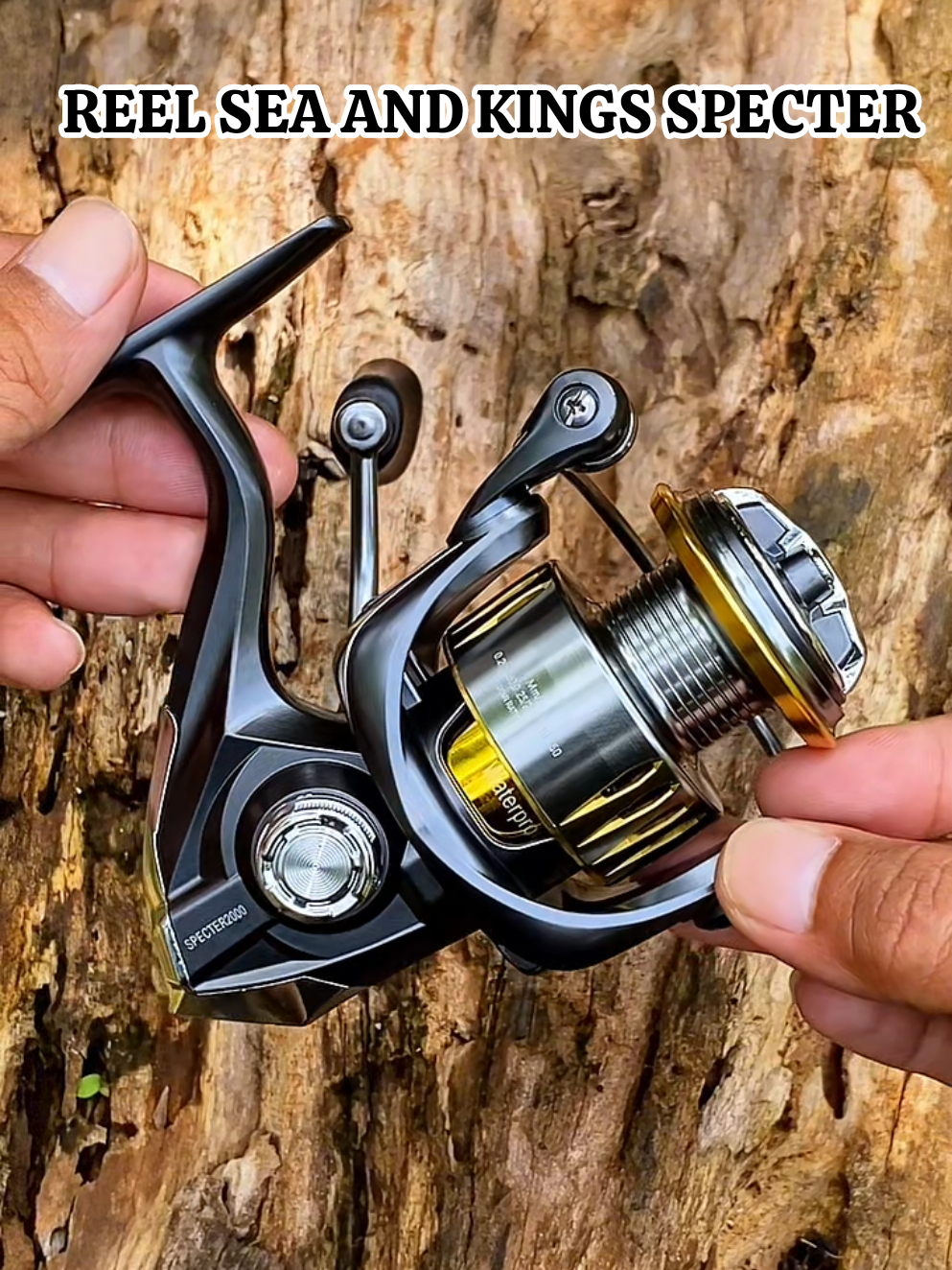 reel spinning kuat bisa buat mancing di laut harga terjangkau tentunya #reelspinning #reelpancing #reelsaltwater #reelpowerhandle #reeloneway 