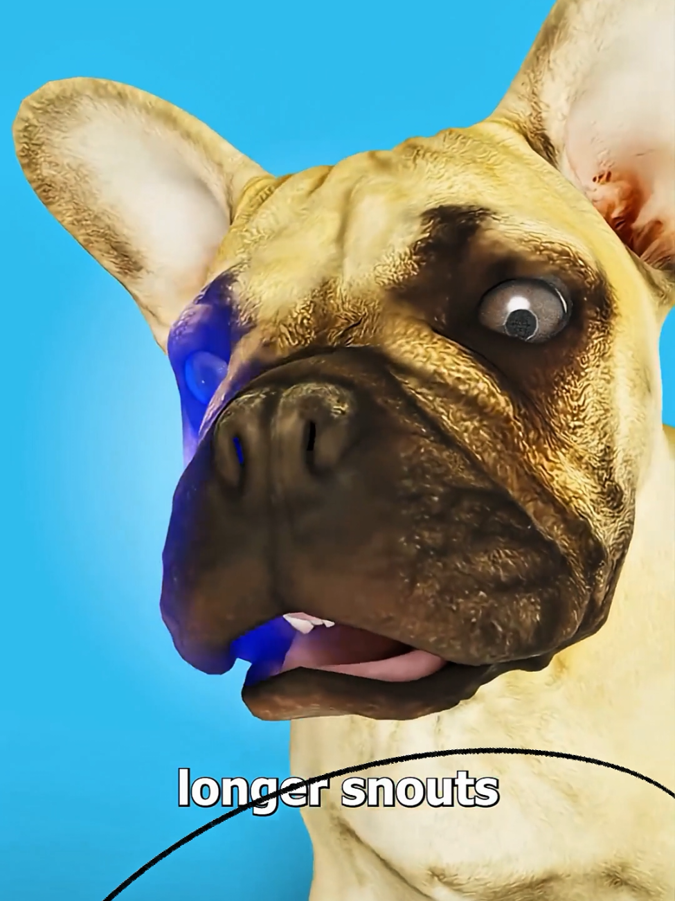 chú chó lai rất khó sinh con  #khoahoc #câuchuyện #đờisống 