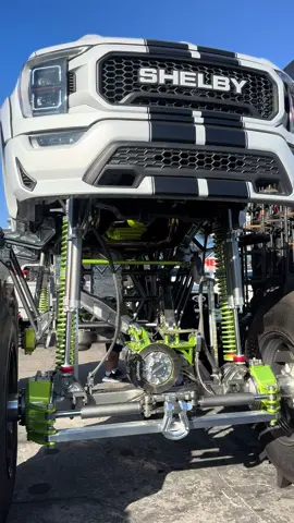 Big big Shelby #shelby #big 