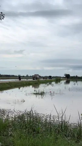 รถขนฝันออกเดินทางแล้ว เดี๋ยวรถกองเชียร์50คันตามไปนะ  #หมอนทองวิทยาคม