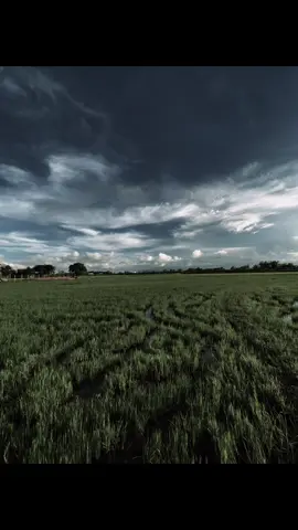 “ 花朵只有在有人浇水时才会绽放 我只有站在我爱的人面前时才会微笑 “ 