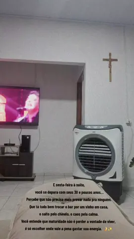 E sexta-feira à noite, você se depara com seus 30 e poucos anos… Percebe que não precisa mais provar nada pra ninguém. Que tá tudo bem trocar o bar por um vinho em casa, o salto pelo chinelo, o caos pela calma. Você entende que maturidade não é perder a vontade de viver, é só escolher onde vale a pena gastar sua energia. 🌙✨