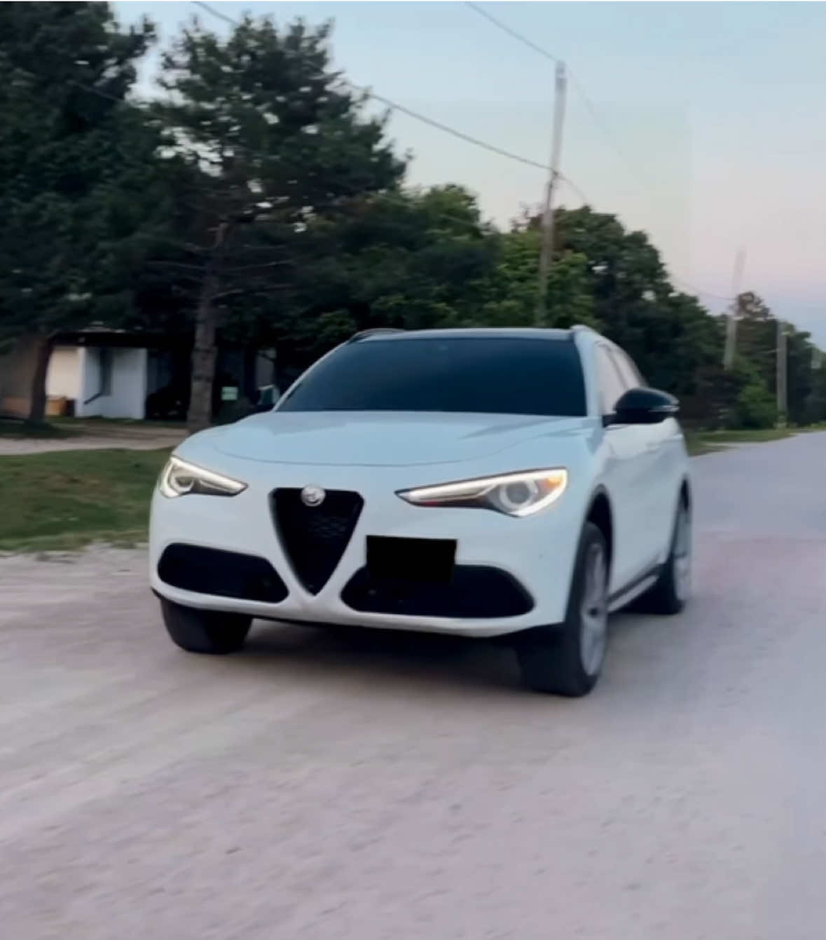 just to make sure || Alfa Romeo Stelvio 🍀 // #fyp #alfaromeo #drake #cars #carsoftiktok 