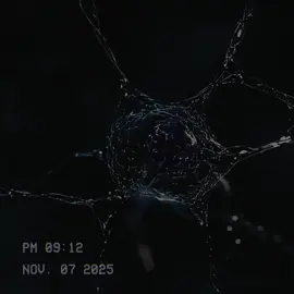 Que siente un camionero? #camioneros #conducir #neuroscience #xybca #psicologia 