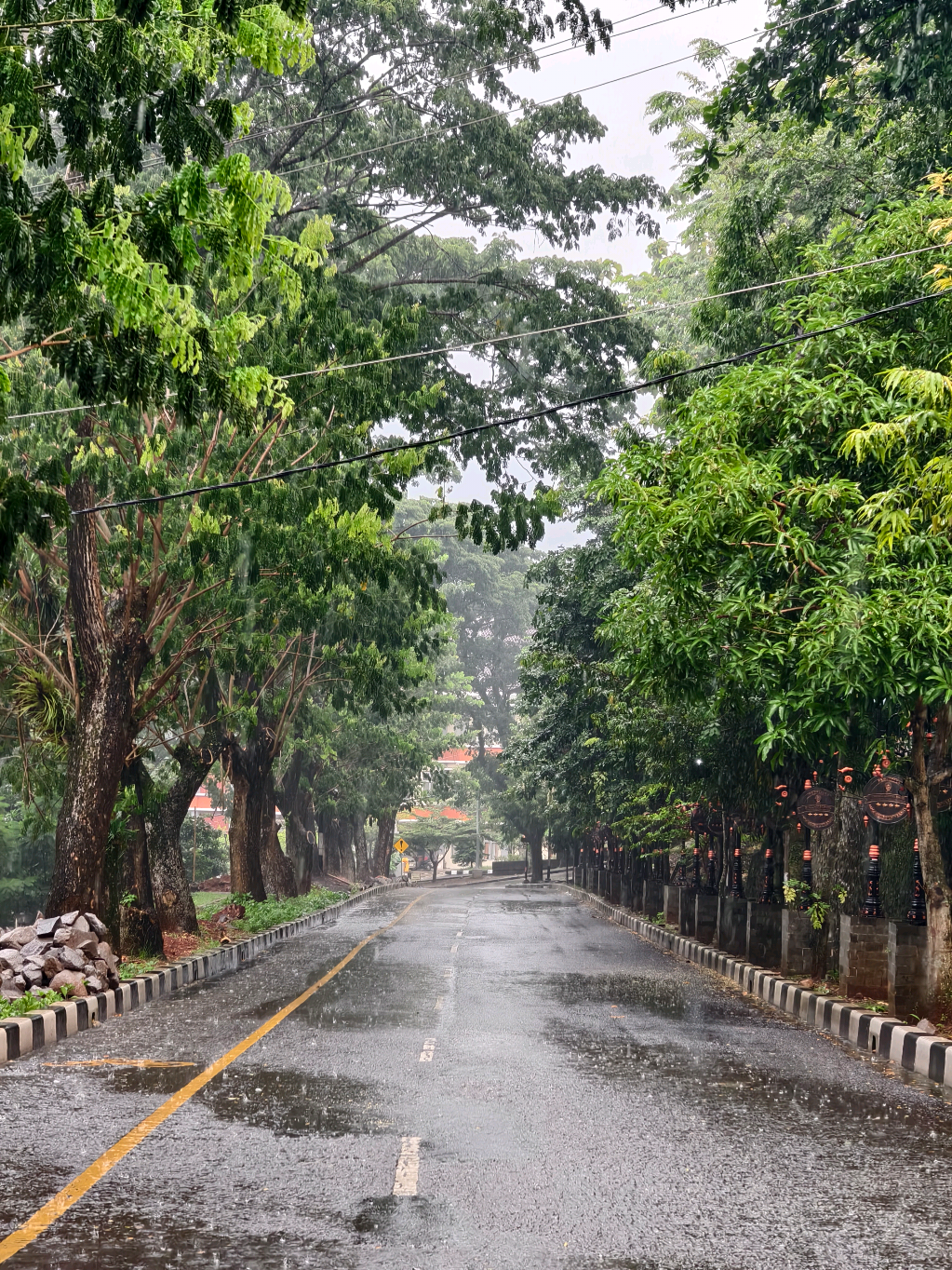 Rainy day at #undip #hujan🌧️ #fyp #pagi #tembalang 