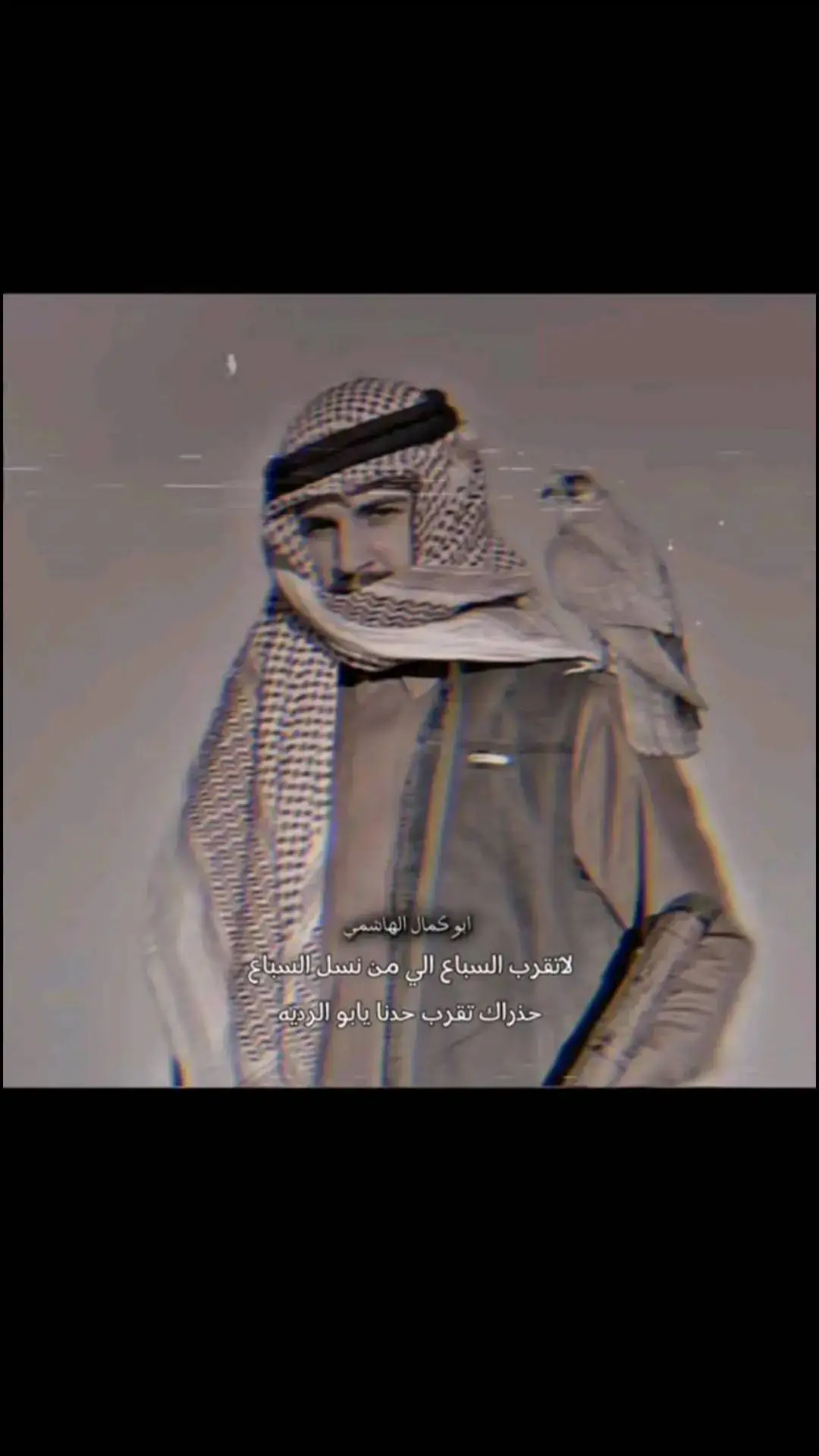 #في هذا اليوم لاتكرب السباع الي  من نسل السباع @ابو كمال ألهاشمي 