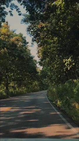 🖤 ¿Qué sientes cuando suena esta canción? A veces no hace falta entenderla, solo sentirla.  #queen #bohemianrhapsody #classicrock #music #freddiemercury 