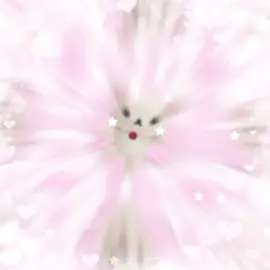 bleh:p #cutecore🎀🦴🍮🐾 #fyp #kawaii #jojifuku #cute @TikTok 