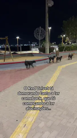 Voltem cachorras😭 #redvelvet #cachorras #psycho #fyp #vaiprofycaramba 