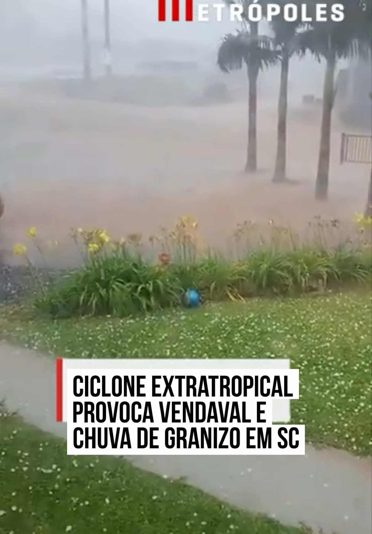 Imagens que circulam nas redes sociais mostram os efeitos do forte temporal registrado em várias áreas de #SantaCatarina nesta sexta-feira (7/11). As #chuvas foram ocasionadas pela formação de um #ciclone extratropical na região. De acordo o Instituto Nacional de Meteorologia (Inmet), o sul do estado está sob alerta vermelho, o que indica grande risco de acumulado de chuvas. O ciclone extratropical, previsto para ganhar força entre a tarde desta sexta e a madrugada deste sábado (8/11), deve provocar ventos acima de 80 km/h, chuva intensa e mar agitado no Estado, segundo a Defesa Civil. O ciclone se formou a partir do contraste entre massas de ar frio e quente. A Defesa Civil alerta para o risco alto de destelhamentos, queda de árvores, danos na rede elétrica, alagamentos e enxurradas. No mar, as ondas podem atingir de 3,5 a 4,5 metros, com possibilidade de ressaca e erosão costeira, principalmente no litoral sul. #TikTokNotícias  📹 Reprodução / Redes sociais