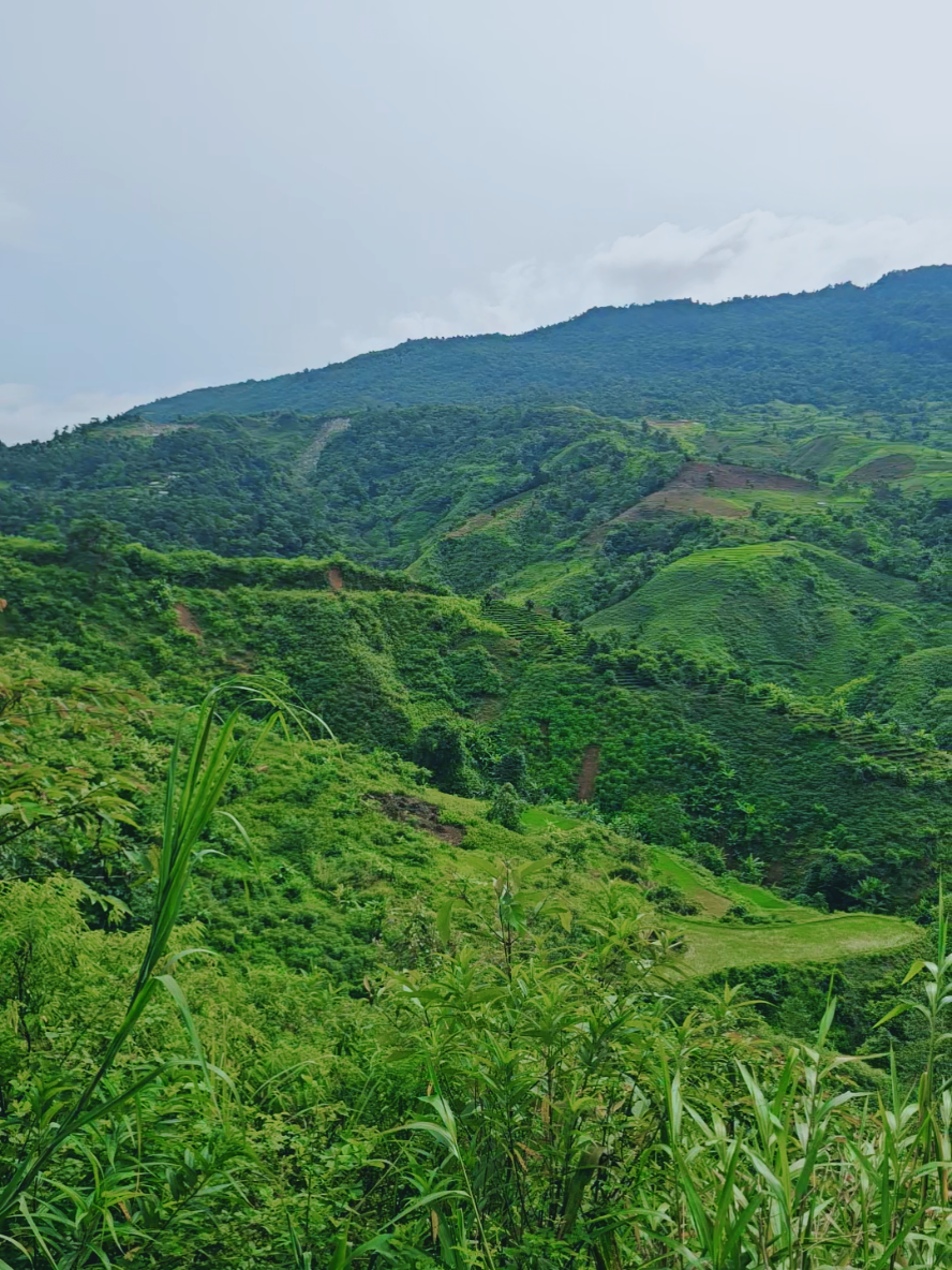 cảnh đẹp núi rừng thiên nhiên tây bắc quê #xuhuongtiktok #miennui #xuhuong #canhdep #canhdepthiennhien 