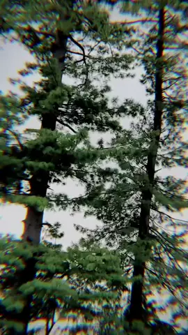 part 1 don't want you 