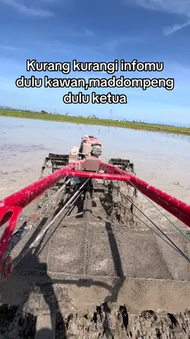 PAGGALUNG BUKAN PASSOBIS #petanimuda #petaniindonesia🇮🇩🇮🇩🇮🇩🌿🌿 #paggalungjikesi #petanisidrap📍 #paggalung 