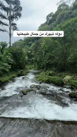 الدنيا بنعيشها مره 🤍  #بالي #اندونيسيا #fyp #اكسبلوررر #foryou  