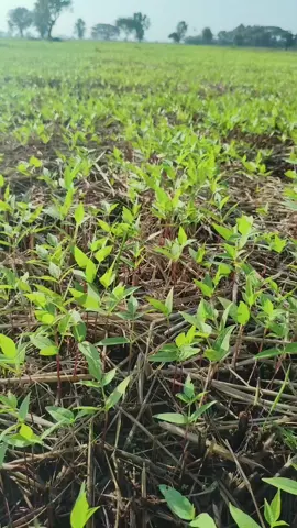 #ကျနော့်ပဲတွေမသေလို့ပျော်ပီဗျာ #