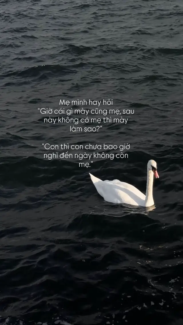 #viral #xuhuongtiktok #capcut #tamtrangbuon 