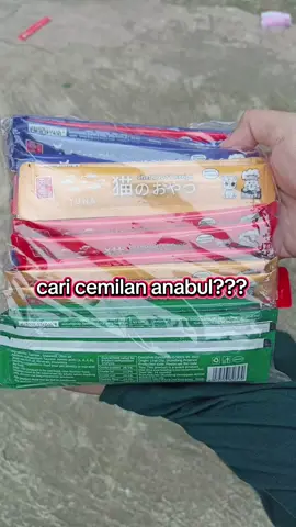 #berandatiktok #4upage #anabul 