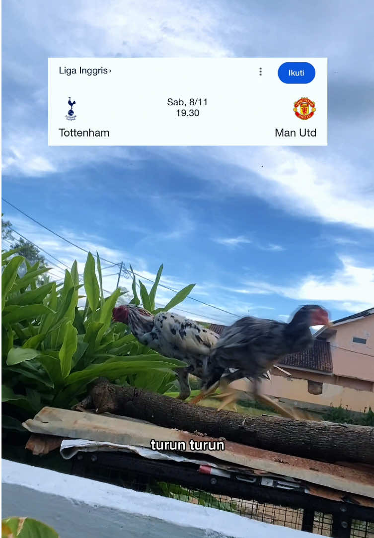 mau turun sendiri apa diturunin KING @Manchester United ? 😏 #manutd #kingemyu #tottenhamvsmanunited 