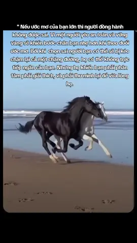 Thay đổi nhưng hãy bắt đầu chậm rãi, vì hướng đi quan trọng hơn tốc độ.