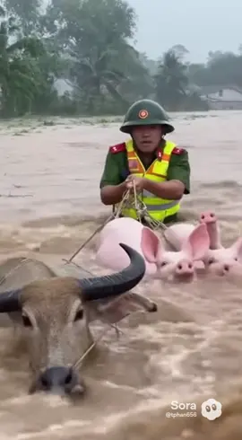 Nam mô quán thế âm bồ tát #nammoadidaphat #phatphapnhiemmau #nammodaibiquantheambotat #nammodiatangvuongbotat #adidaphat 