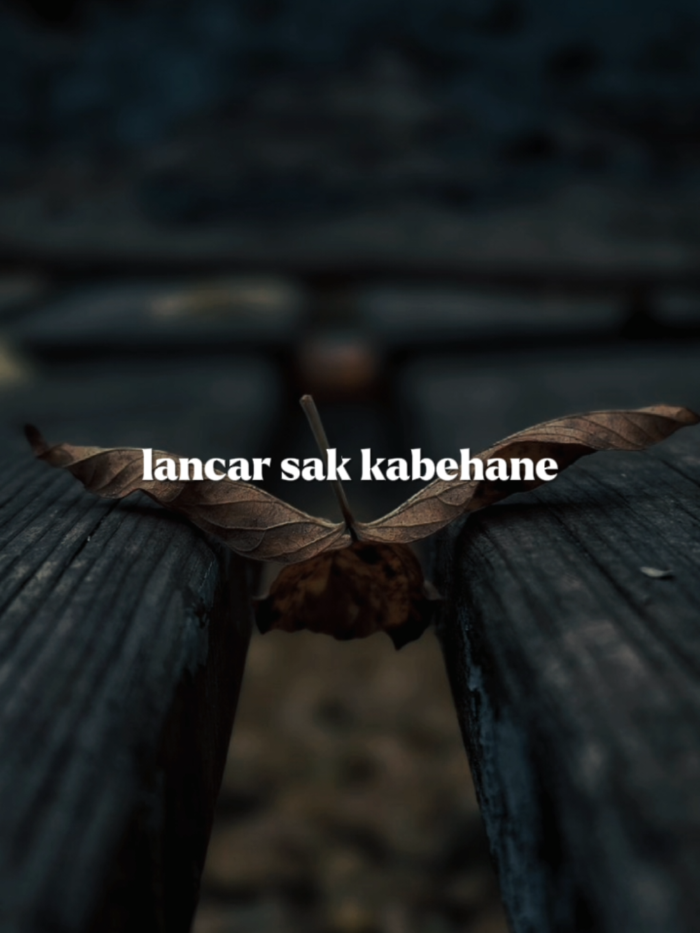 mugi langgeng saklawase..  Lancar-@Sadewok004  #overlay #templatelirik 