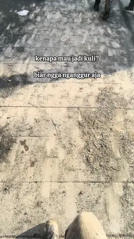 dripada hidup nda jelas🤣 #fyp #morowali_sulteng_bahodopi #weldermuda🧑‍🏭 #kuliboy🤙😜🚀 