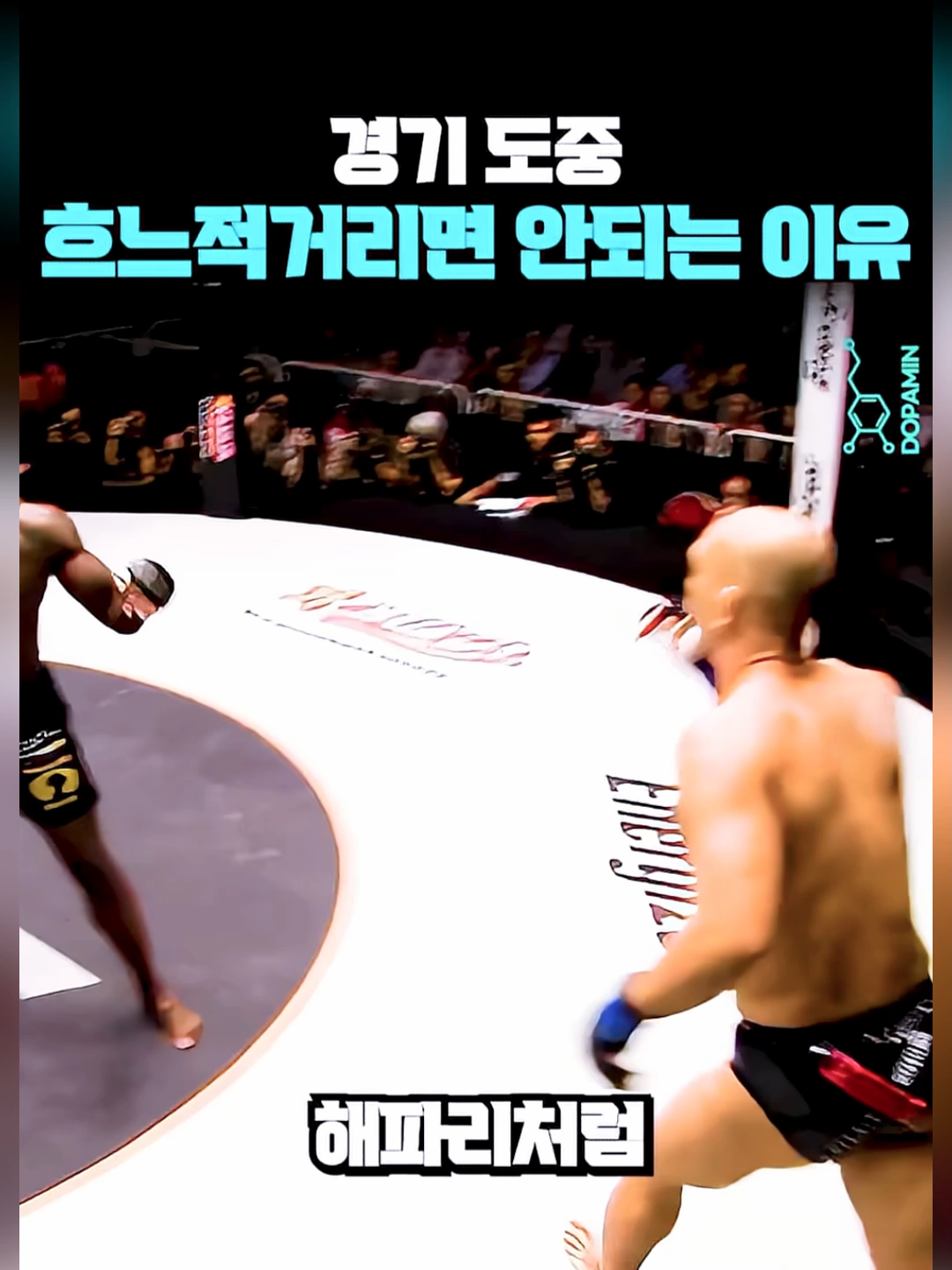 경기 도중 흐느적거리면 안되는 이유 & 치졸한 반칙을 하는 파이터를 참교육하는 방법