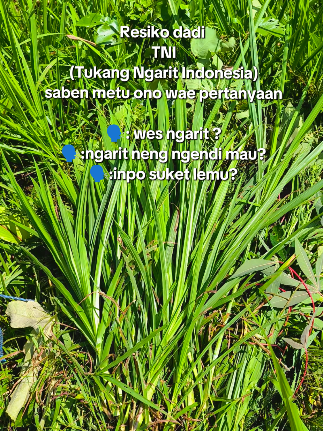 #tukangngarit #sobatngaret #peternakmuda #peternakmilenial #fyp 