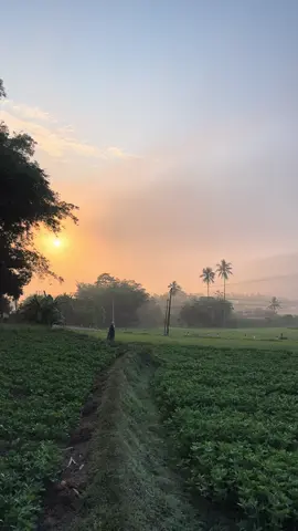 ☘️ #fyp #pedesaan #sulawesiselatan #maros #pemandangan 