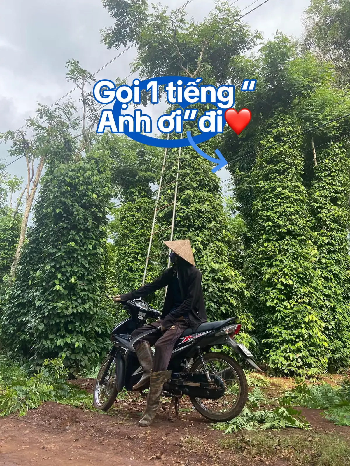 Trốn nợ về quê làm rẫy.#viralvideo #47daklak #stt_buồn_tâm_trạng ##yêuthuongkhomhchoqualoinoi mà qua hành động 