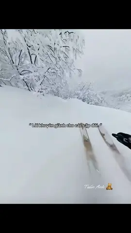 #_tuanbao08 #tamtrang #fyp #lyrics #audio 