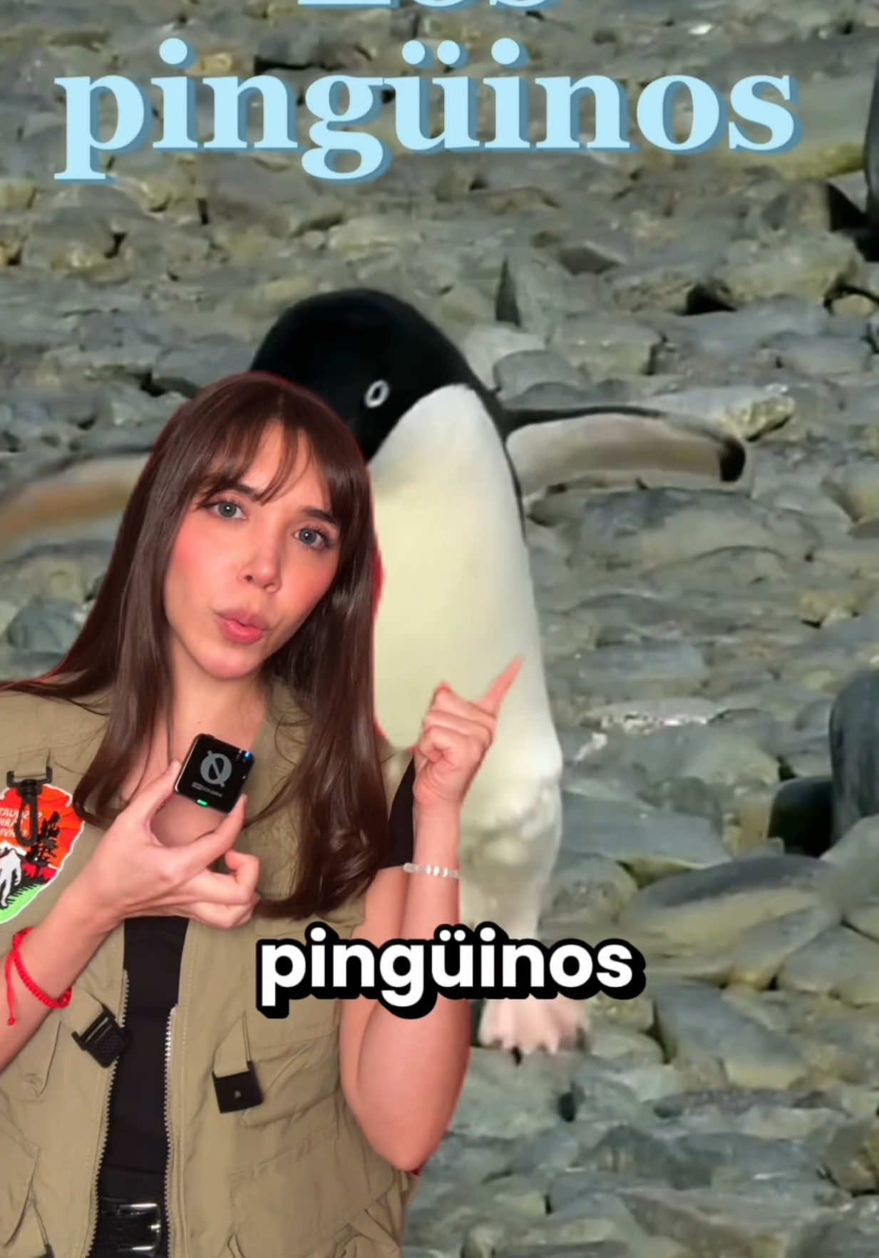 Arriba pie grande  #curiosidades #bethcast #animales #datoscuriosos 