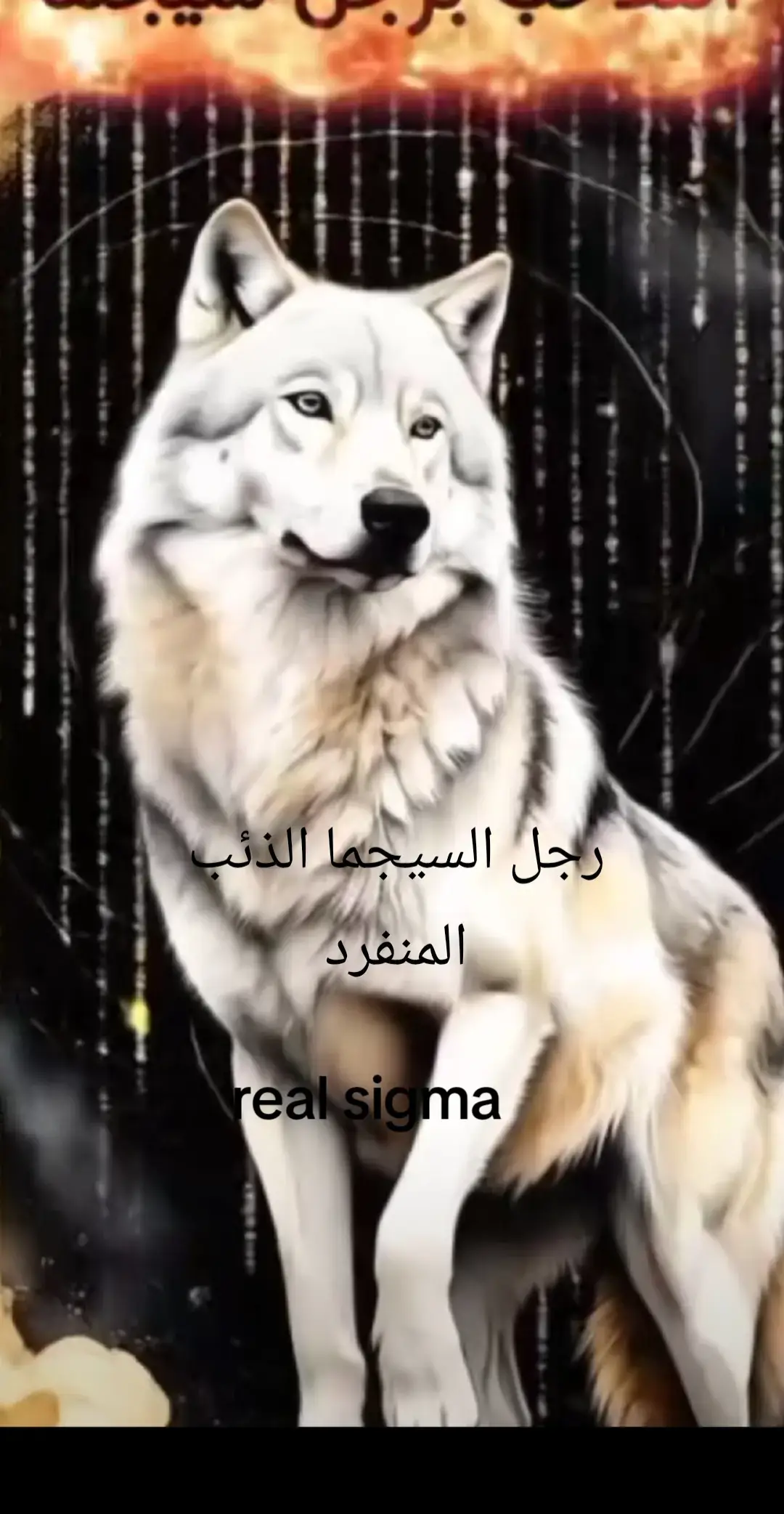 #رجل#السيجما #الذئب #المنفرد 