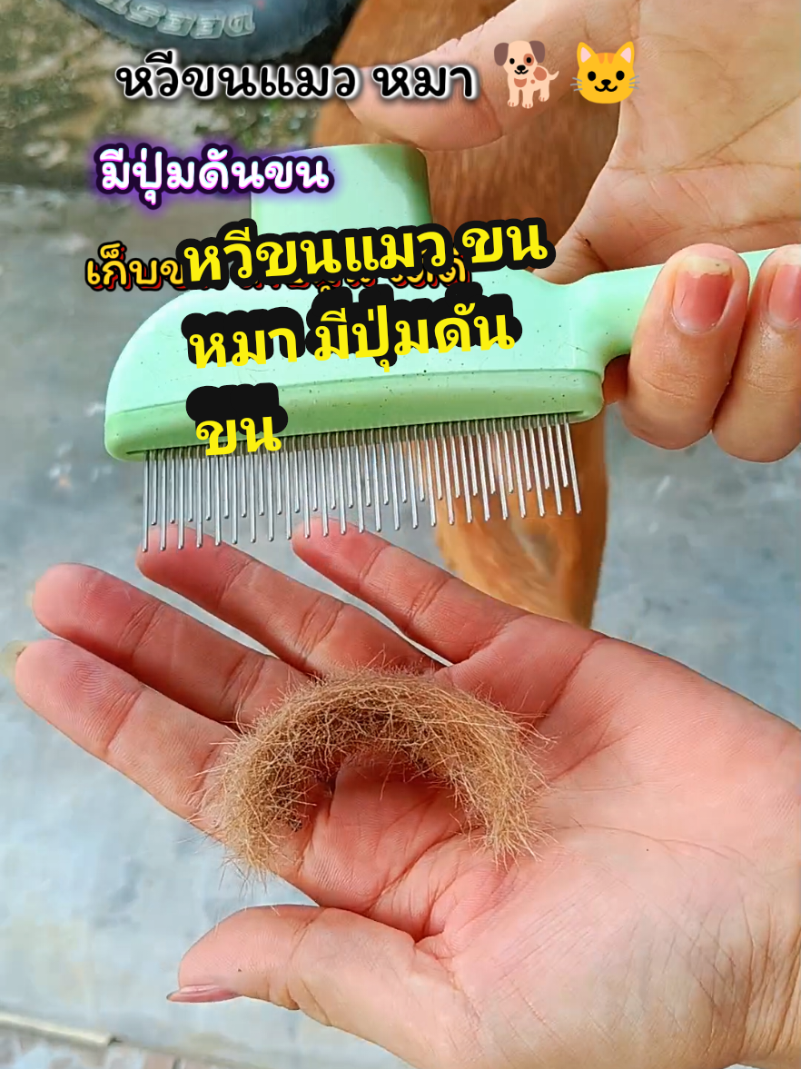 หวีใช้ง่าย แปรงได้ทั้งขนยาวขนสั้น #หวีแปรงขนแมว #หวีขนแมวขนหมา #หวีแปรงขนสัตว์ 