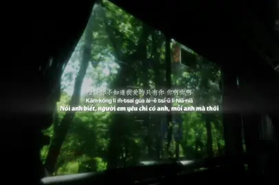 “anh ơi anh à” #nhactrung #anhoianha #douyin #xuhuong #tnlcorner 