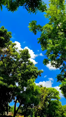 #bugistiktok #bugisfyp #fyp 