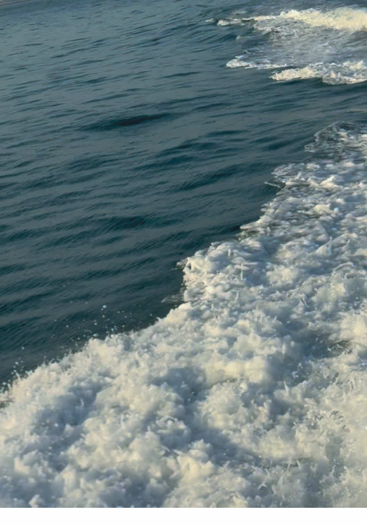 Pilot Boat Singpura 🇸🇬                                #sealife #fypシ゚ #psamarine 