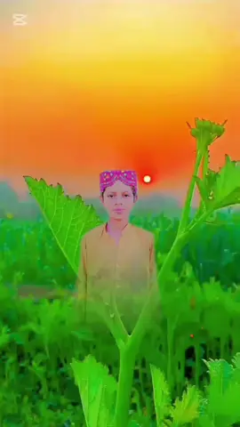 #sindhistatus #foryou #foryoupage #fyp #100kviews✔️ @TikTok @Naseerahmed Chachar @رئیس🥷✌️حسن چاچڑ✌️🥷 @✌️طارق چاچڙ🔥🥷 @AK ChaChar 🔥 