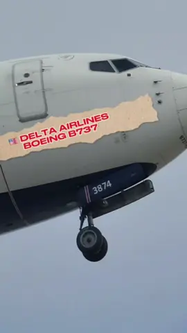🇺🇸 DELTA AIRLINES BOEING B737 LANDING AT LAX 🛬 #lax #aviation #planespotting #deltaairlines #planes 