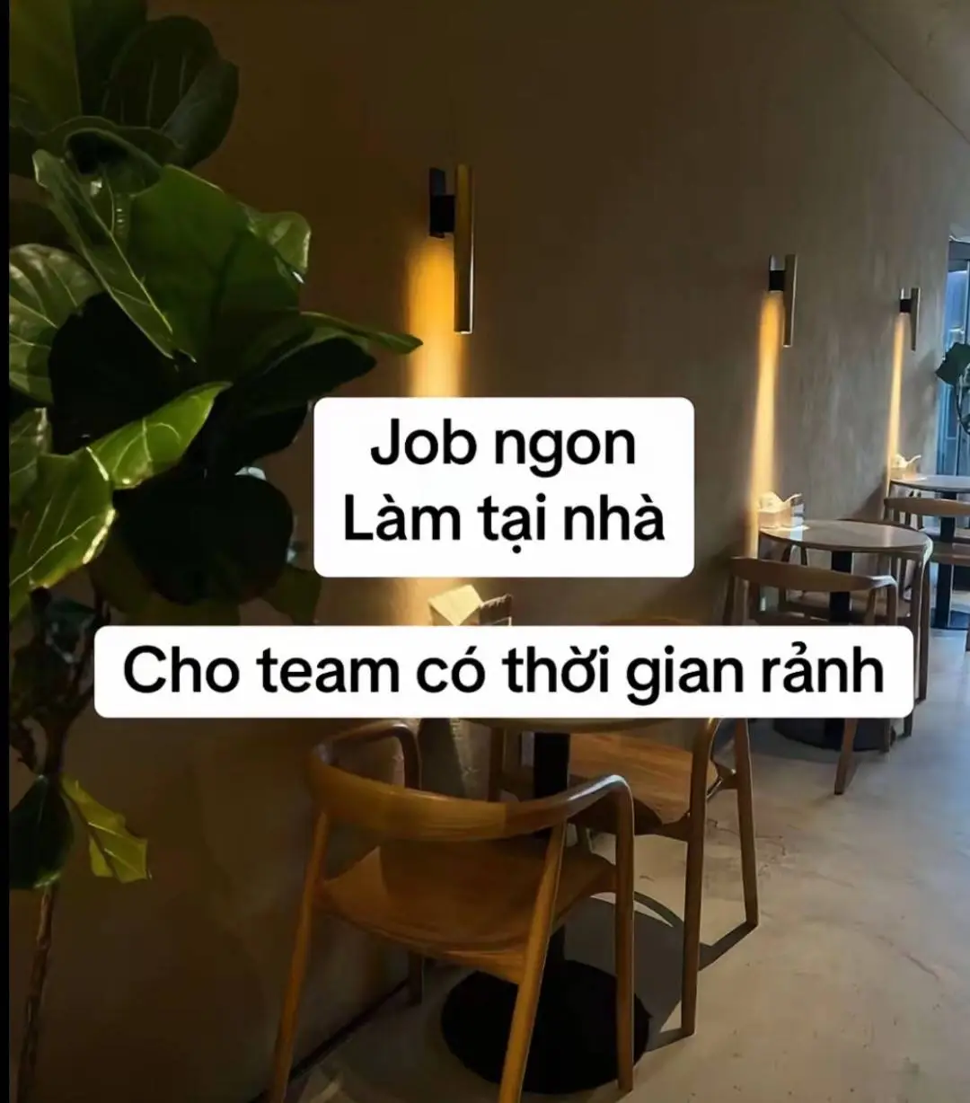 iib e hd #cvtainhauytin 