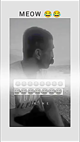 Meow😼😂 #foryou #foryoupage #funnyvideos #memes 