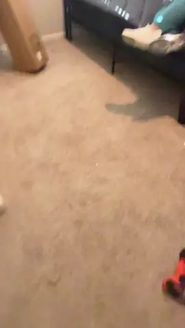 #falldealsforyou #tiktokshopblackfriday #tiktokshopcybermonday 