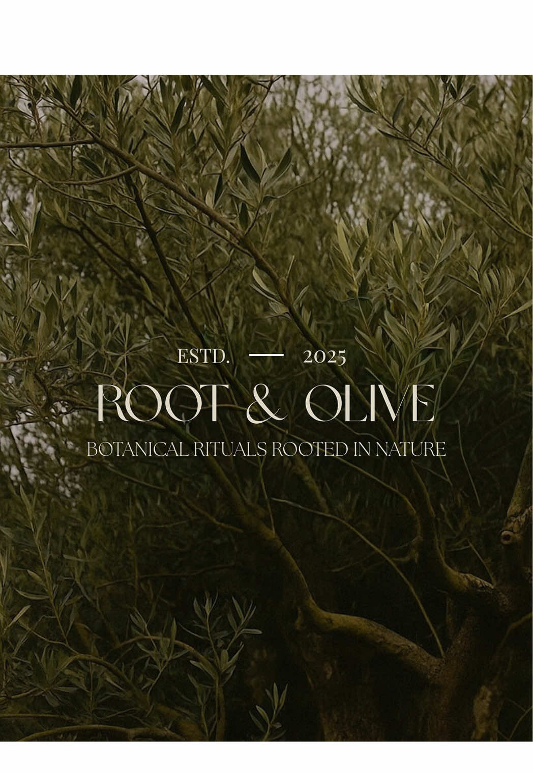 Something golden is coming…✨ Introducing Aurora Face Oil. A botanical ritual crafted to restore, nourish, and illuminate your skin’s natural glow. Cold-pressed extra virgin olive oil infused with marshmallow root — each drop is packed with antioxidants, vitamins, and earth’s purest radiance. Handcrafted by Root & Olive 🌿 Botanical rituals rooted in nature. #skincare #naturalglow #skincareroutine 